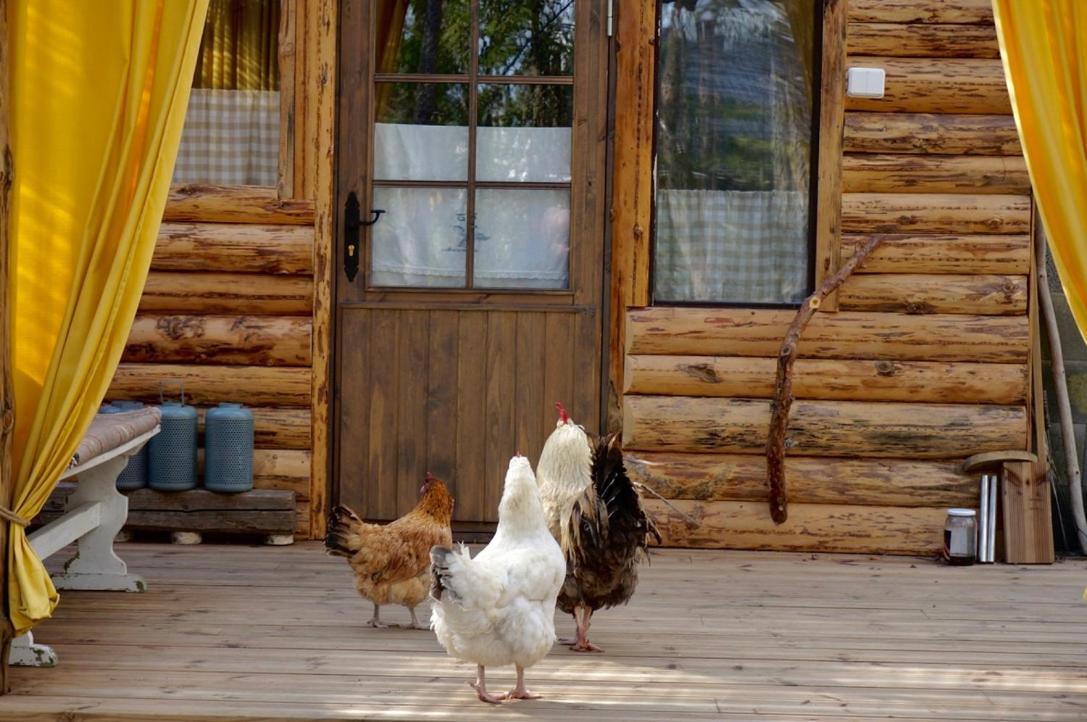 B&B Elaemys Aemmi Sauvo Ngoại thất bức ảnh